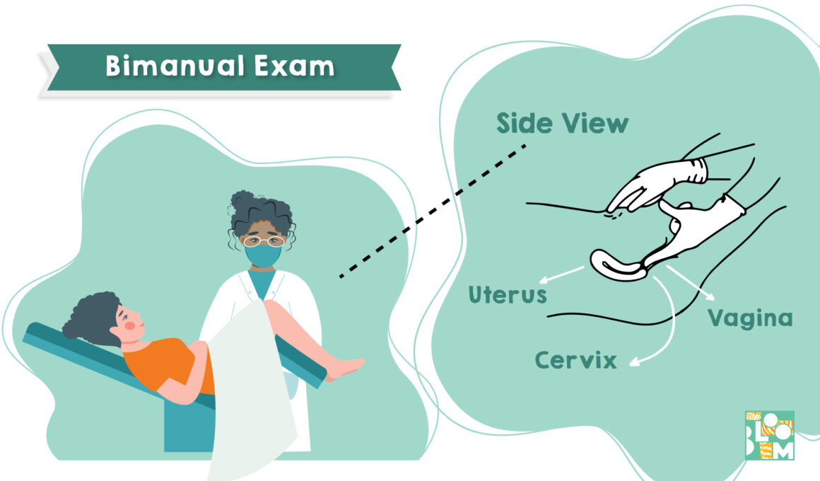 Gynecologist doctor examining woman lying in gynecological chair. Cervix checkup screening appointment. Female visiting gynecologist. Flat vector illustration