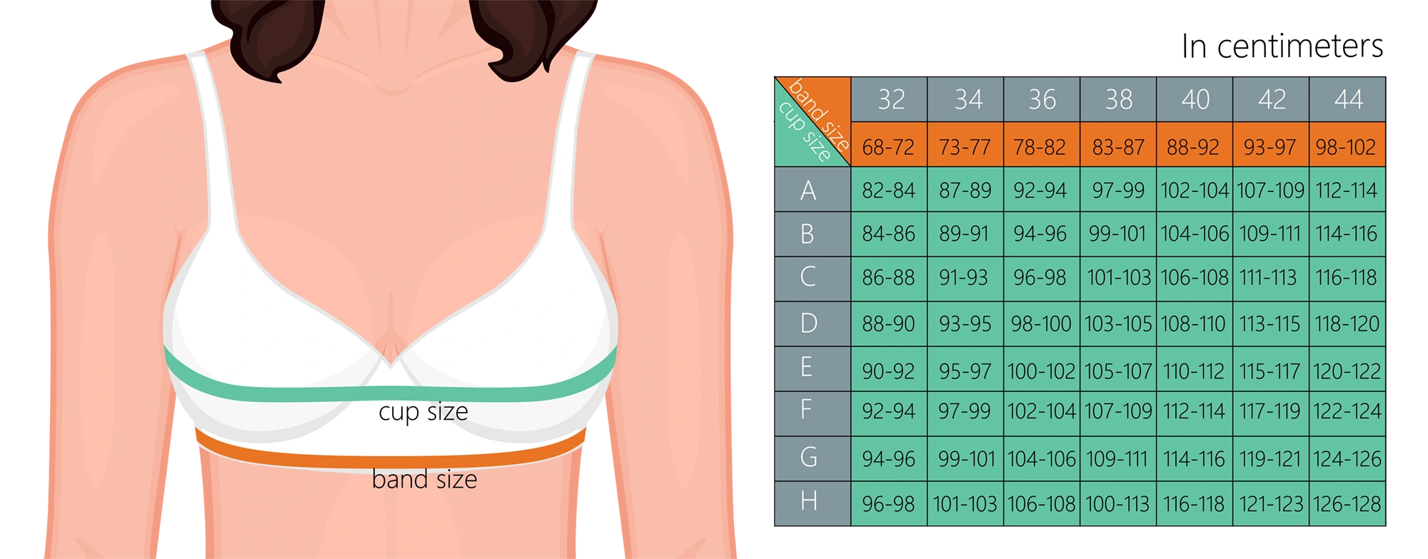 How to measure for a bra, bra cup size and band size measurements.
