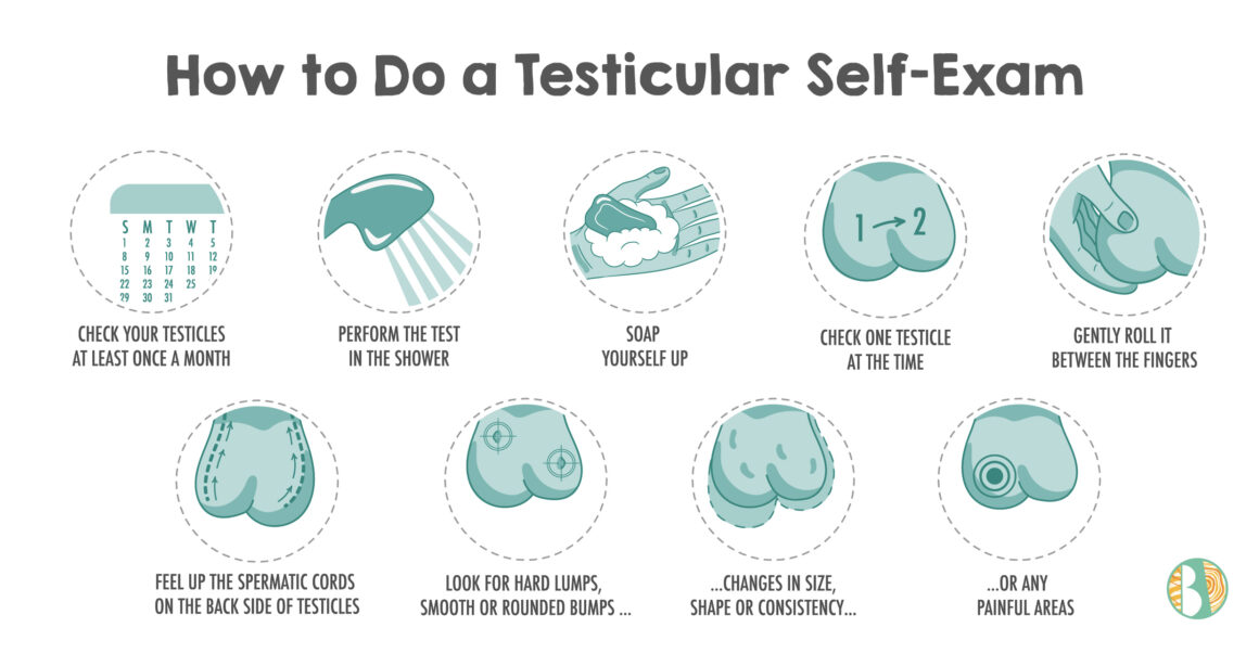 Testicular self-exam